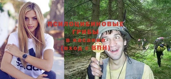 СК Елабуга
