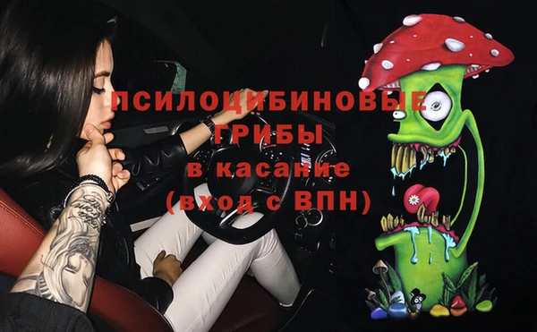 СК Елабуга