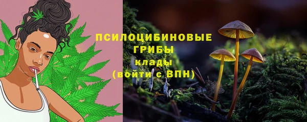 кокаин премиум Ельня