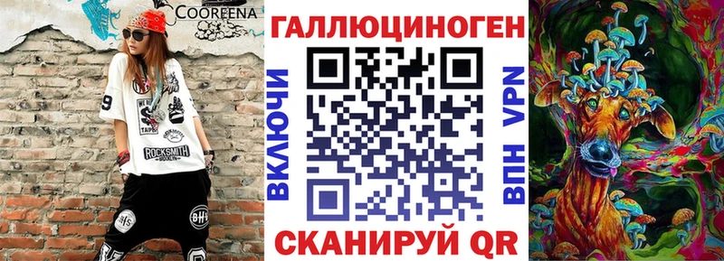 Купить закладки  Нововоронеж  Галлюциногенные грибы Psilocybe 