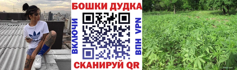 Купить  Нововоронеж  Бошки Шишки White Widow 